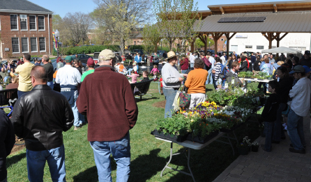 Shot of crowds on the lawn of the Blacksburg Farmers Market.